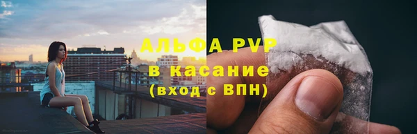 мдпв Гатчина