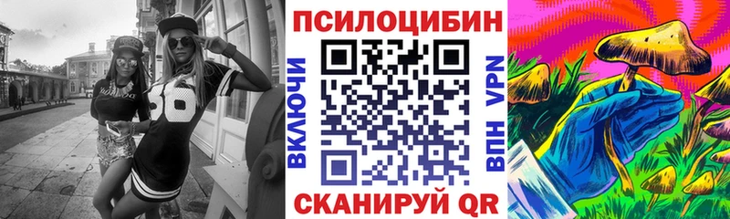 Псилоцибиновые грибы Cubensis  Алзамай 